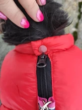 Coat Jacket Puppy Pet-Dog French Bulldog Small Dogs Waterproof Winter Super Cotton 