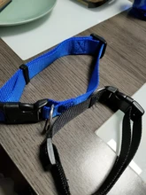 Collar de nailon para perros medianos y pequeños, hebilla de pinza resistente, para Chihuahua, rojo, negro, Azul, Morado, 20