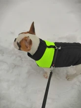Vest Jacket Pets-Clothing Pug-Coat Puppy Dogs French Bulldog Waterproof Small Winter