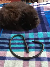 Pump Diffuser Tube Bubble-Bar Oxygen Aquarium Air-Stone Fish-Tank Wall Hydroponic Hose