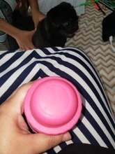 Bath-Brush Massage Decontamination-Shampoo Foot-Wash Beauty SUPREPET Pet-Cleaning Storage