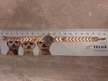 Reloj pequeño de estilo salvaje informal para mujer, pulsera de oro, relojes de acero inoxidable, nuevo