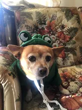 Dog Winter Warm Clothes Cute Plush Coat Hoodies for bulldog Pet Costume Jacket