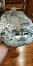 Throw Pillow House Sea-Lion-Toy Plush Soft-Seal Stuffed Warming Novelty 80cm VIP 3D High-Quality