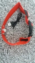 USB de carga Led Collar de perro Anti-perdido/evitar accidente de coche Collar para perros perro collares lleva LED suministra productos para mascotas