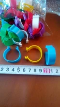 Anillo de pie interno con hebilla para aves de corral