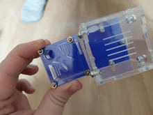 Test-Tube Nest Plane Ant Ant-Workshop Acrylic Small Flat Community Palm-Middle-Nest Back