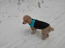 Coat Jacket Puppy-Vest Dogs Waterproof Winter Medium Pet-Dog Zipper Small Large Warm