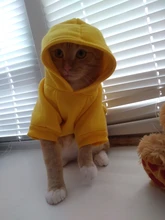 Seguridad ropa para gato mascotas abrigos para gato chaqueta sudaderas con capucha para los gatos traje cálido ropa para mascotas ropa de conejo Animales Mascotas traje para perros 30