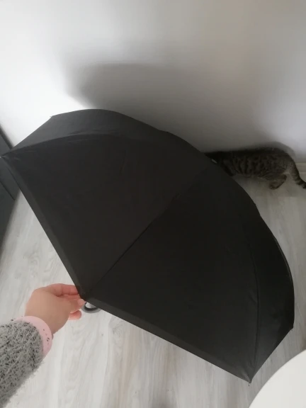 Best Double Layer Reverse Folding Umbrella photo review