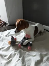 Pet-Dog-Toys Chew Toy Pet-Supplies Donkey Animal Small Dogs Puppy Plush-Squeak Bite-Resistant