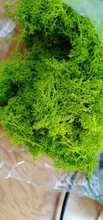 Flower-Material Simulation-Plants Fake-Moss Wall 1000g Home-Decor Micro-Landscape Mini Garden
