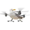 SeagullDrone Store