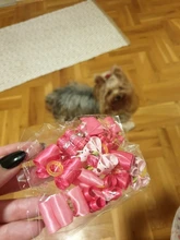 10 unids/lote hecho a mano-perro arcos del pelo banda de goma de pelo de gato Clips Boutique Día de San Valentín perro de aseo de producto accesorios