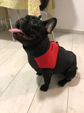 Vest Jacket Pets-Clothing Pug-Coat Puppy Dogs French Bulldog Waterproof Small Winter