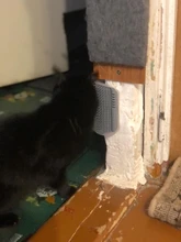 Self-Groomer-Toy Massage-Device Cat Catoy Pet-Cat with for Hair-Removal-Brush Dogs Comb