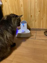 1.8L Cat Water Fountain Quiet Automatic Pet Water Dispenser For Cats Dogs Birds Electric