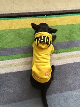 Dog Hoodies Jacket Costume Coat French Bulldog Chihuahua Winter for Pets-Clothing