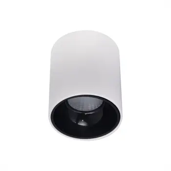 

Cl7440101 stark white + Black St-k ceiling. 12W * 3500K