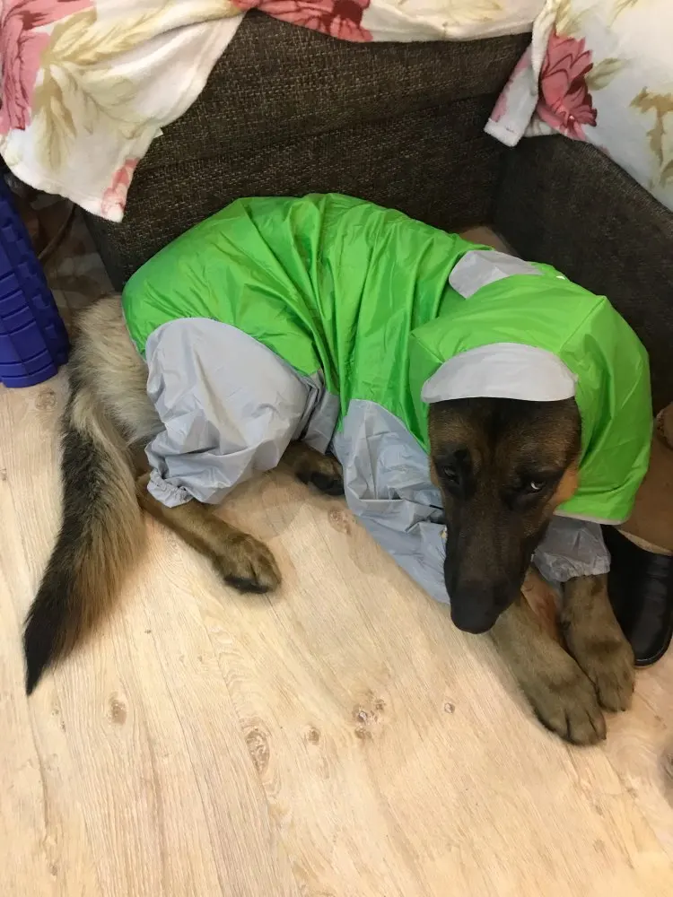 Dog Raincoat Best Dog Raincoat Dog Raincoat with Legs