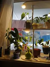 Under-Cabinets-Lights Wardrobe Sensor Led Dimmable Kitchen Touch Close Warm White Double-Color