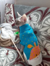 Gato sudadera de Reno para Gato caliente, ropa de invierno para gatos, Kedi traje, productos de ropa de catten para mascotas, animales, gatos, traje