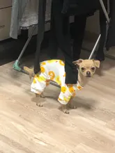 Dogs-Pajamas Clothing Shirt Puppy-Jumpsuit Pomeranian Chihuahua Dog-Coat Pet-Dogs Small