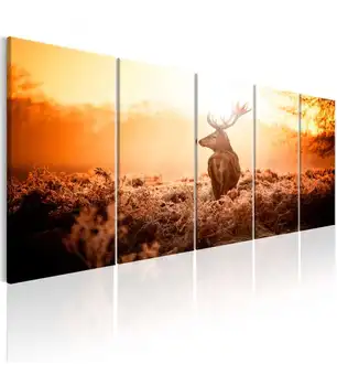 

Picture-Deer at Sunset