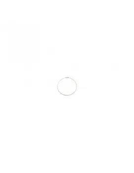 

Flange cuba washing machine LG WD10112 2W20017C