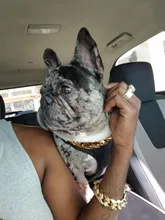 Dog-Chain-Collars Bulldog Pet-Training Stainless-Steel Metal Silver Strong for Large