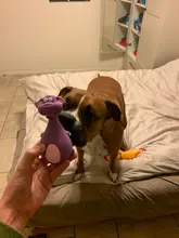 Dog-Toys Latex Pet-Puppy Chew Animal-Shape Squeaky-Sound