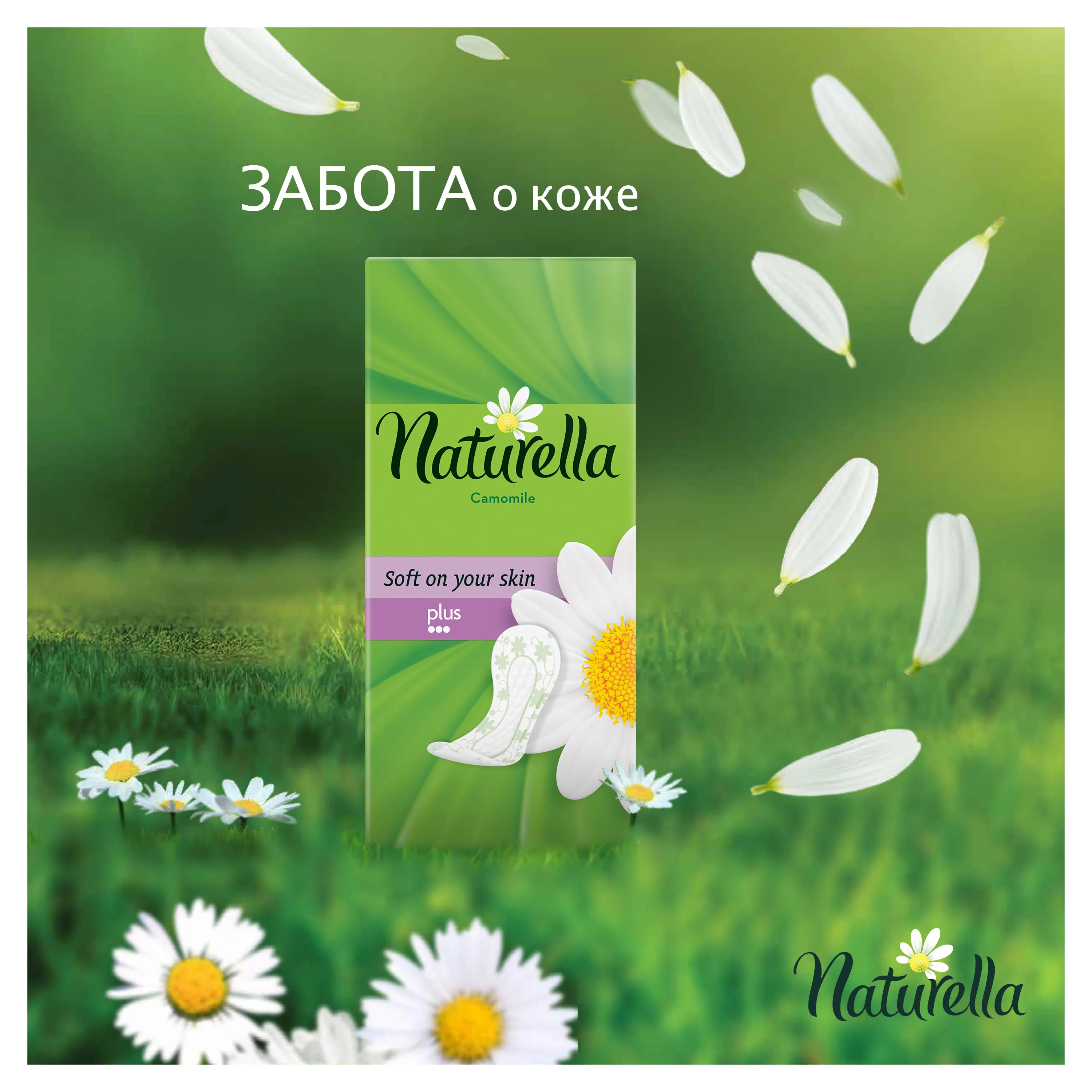 Женские ароматизированные ежедневные прокладки NATURELLA Camomile plus(с ароматом ромашки), 20 шт