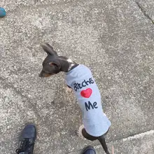 Chaleco para mascotas Love Me Bitches, ropa fina de verano para perros pequeños, Yorkies, Chihuahua