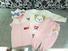 Autumn Winter Children Clothes Set New Girls Kids Cotton Thick Fleece Hoodies Vest Pants