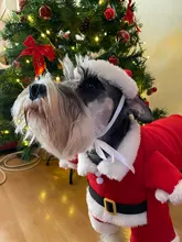 Christmas Pet Dog Cat Costumes Funny Santa Claus Costume For Dogs Cats Winter Warm Dog