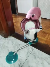 Juguetes para mascotas con copa de succión perro juguete con bola goma termoplástica para limpieza de perro juguetes para perros pequeños, perro de juguete