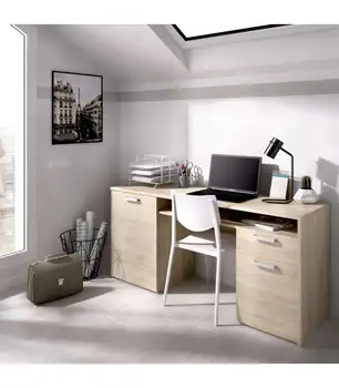 

Rex desk with 1cajon and 2 doors.