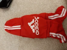 Pet Dog Clothes Fashion Hoodie Spring and Summer For Dogs Coat Jacket Cotton Ropa Perro