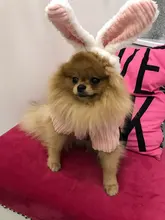 Cute Rabbit Design Dog Hoodie Winter Pet Dog Clothes For Dogs Coat Jacket Cotton Ropa