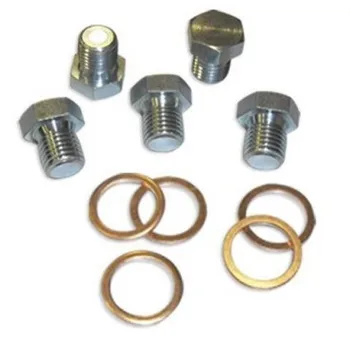 

ASSORTED SCREWS AND WASHERS PLUG CARTER M15 X 1.5P