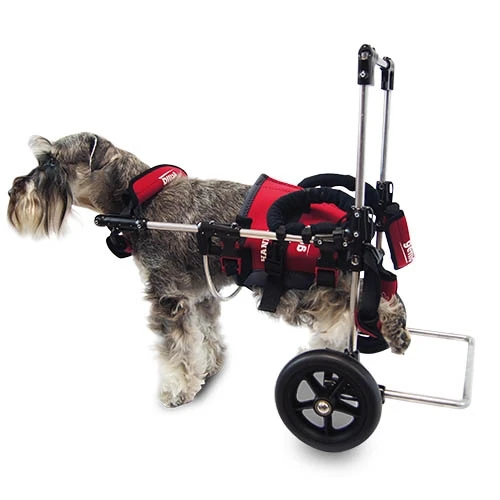 Кресло коляска Canis Мобильная кресло Средняя|Шезлонг| |