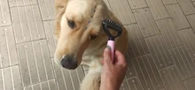 Peine con nudo abierto de doble cara para mascotas, herramienta de cepillado y caída de pelo para perros, peine para depilación de gatos, cepillo de doble cara de acero inoxidable, piel larga mate