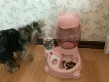 Alimentador automático de mascotas, para perros y gatos, depósito de comida de 2.2L y de agua de 528ml, suministro lento de comida