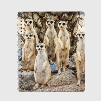 

Notebook Meerkats