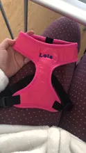 Vest Harnesses Puppy-Kitten Dogs Adjustable Personalized Chihuahua Soft Nylon for Small