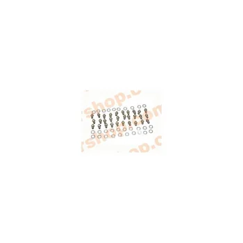 

Injector Assembly Propane Boiler Rock Novanox24/24F 125566226