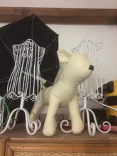 Dog-Models-Toys Mannequins Pet Animal-Shop 1pc 3-Size Standing-Position
