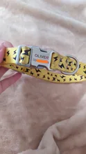 Ajustable de Nylon perro divertido Collar de nombre grabado teléfono azul Pitbull, perro personalizado Collar de mascota perro Etiqueta de impresión Collar