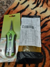 Tijeras de podar de Metal para jardín, Cortador manual de uvas, fruta, recolección de marihuana, en maceta para el hogar