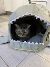 Dog House Shark Washable House Pet Bed Shark Dog Bed Cat Beds & Mats House Sleeping Sofa